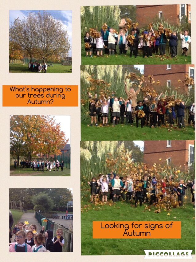 Image of Year 1 Autumn walk